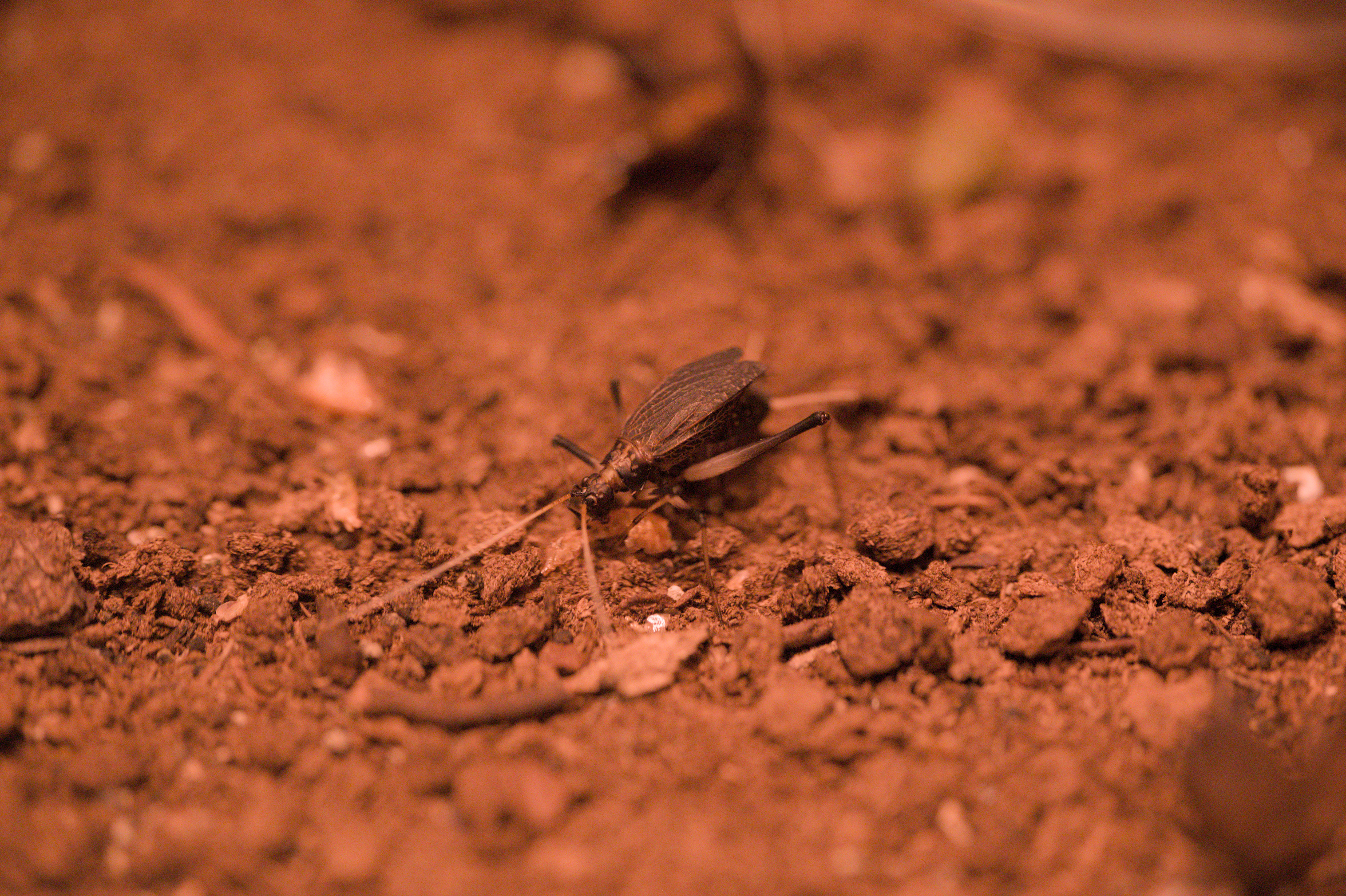 2025/10/12 - zoo/DSC_0240.jpg